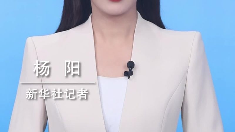 数据治理生命周期管理指标：关键要素与实施策略